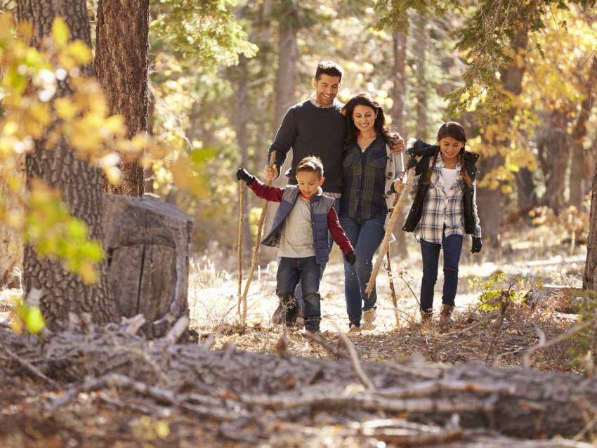 Ballade en famille en forêt