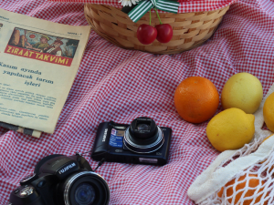 photo fruits nappe