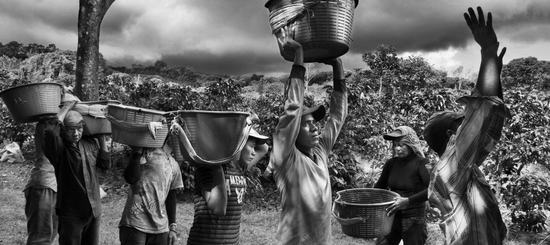 sebastiao salgado - Parfum de Rêve