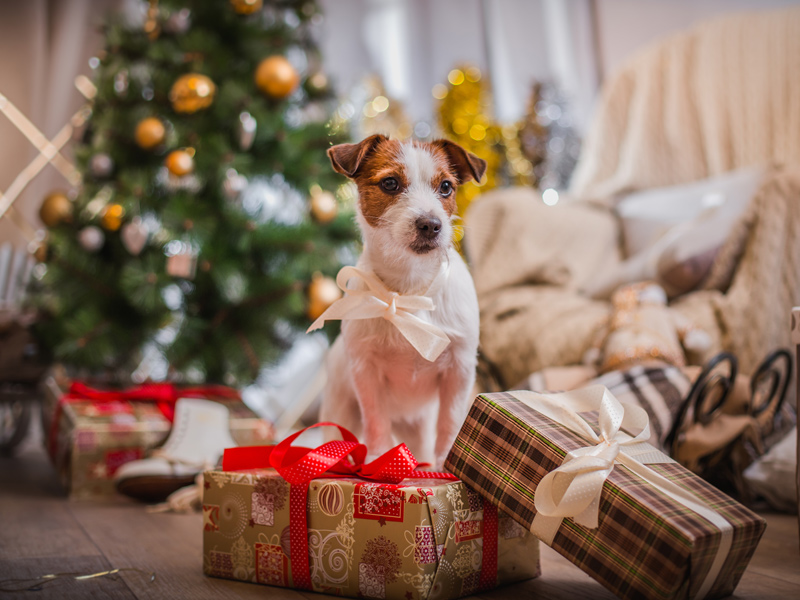 Les étiquettes cadeaux de Noël - Le Monde de Bibou - Cadeaux personnalisés