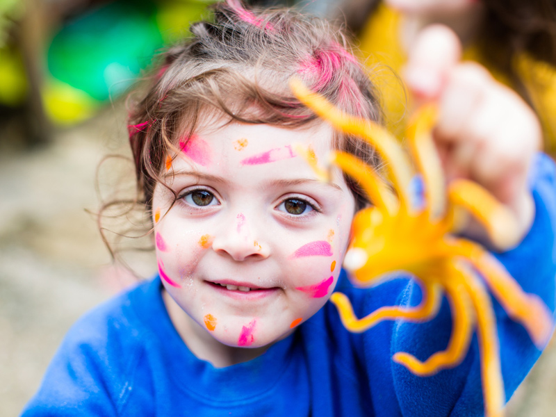 DIY mardi gras photoweb