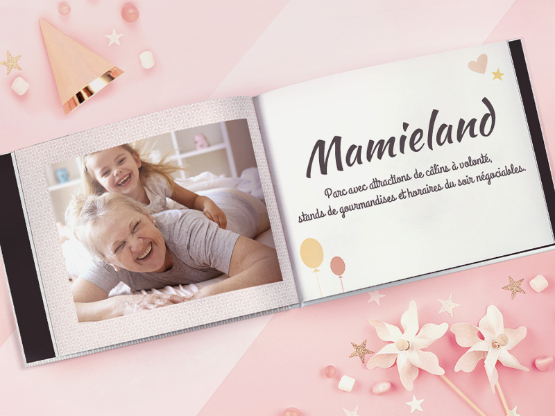 livre photo mamieland