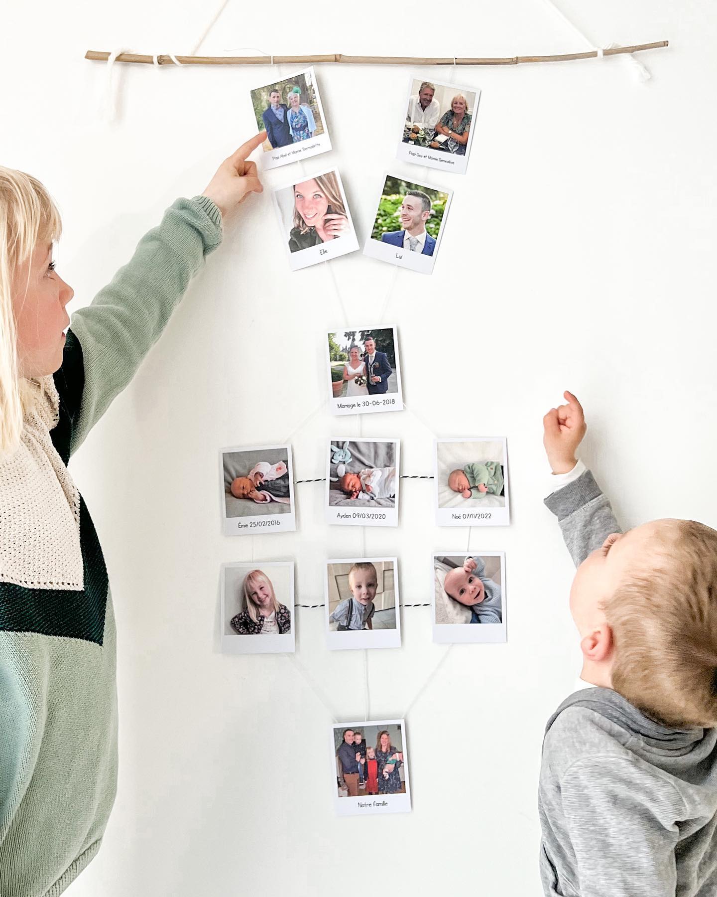 arbre genealogique diy