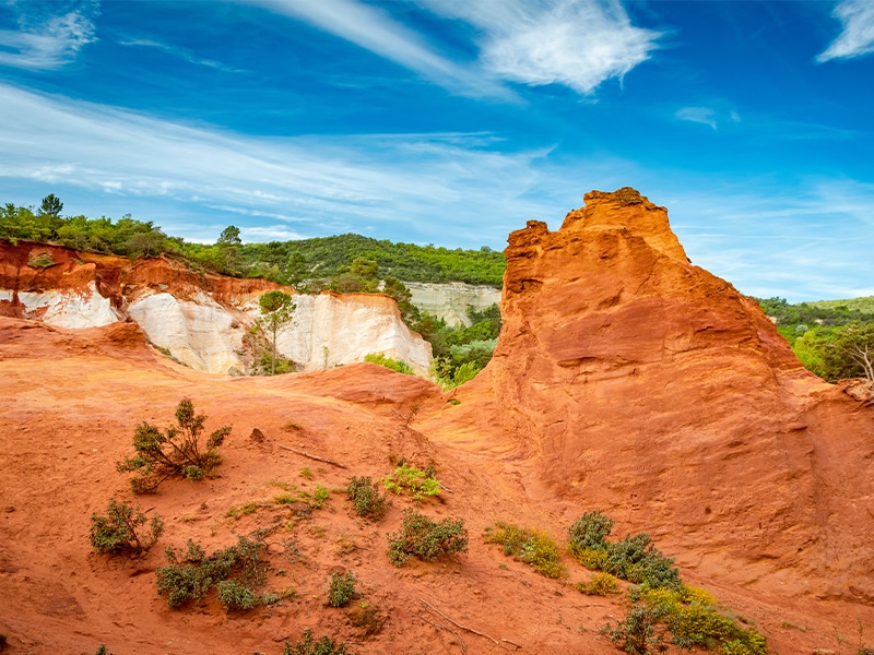 colorado provencal