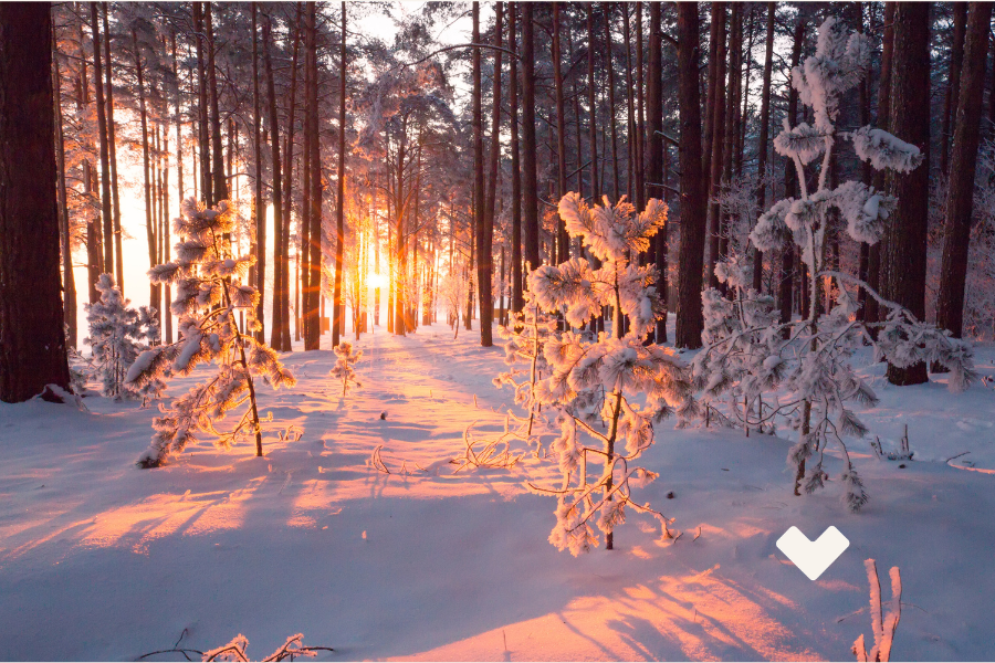 livre rétrospective (15)