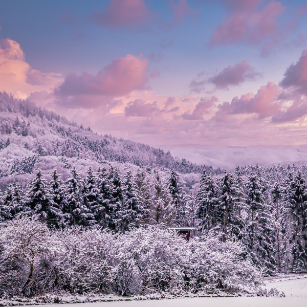livre rétrospective (3)