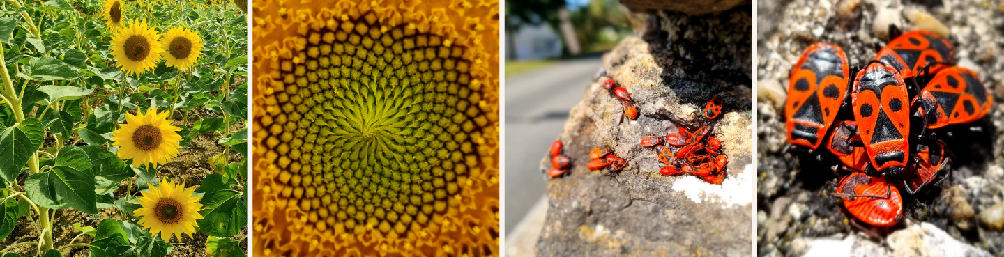 parole de photographe (6)