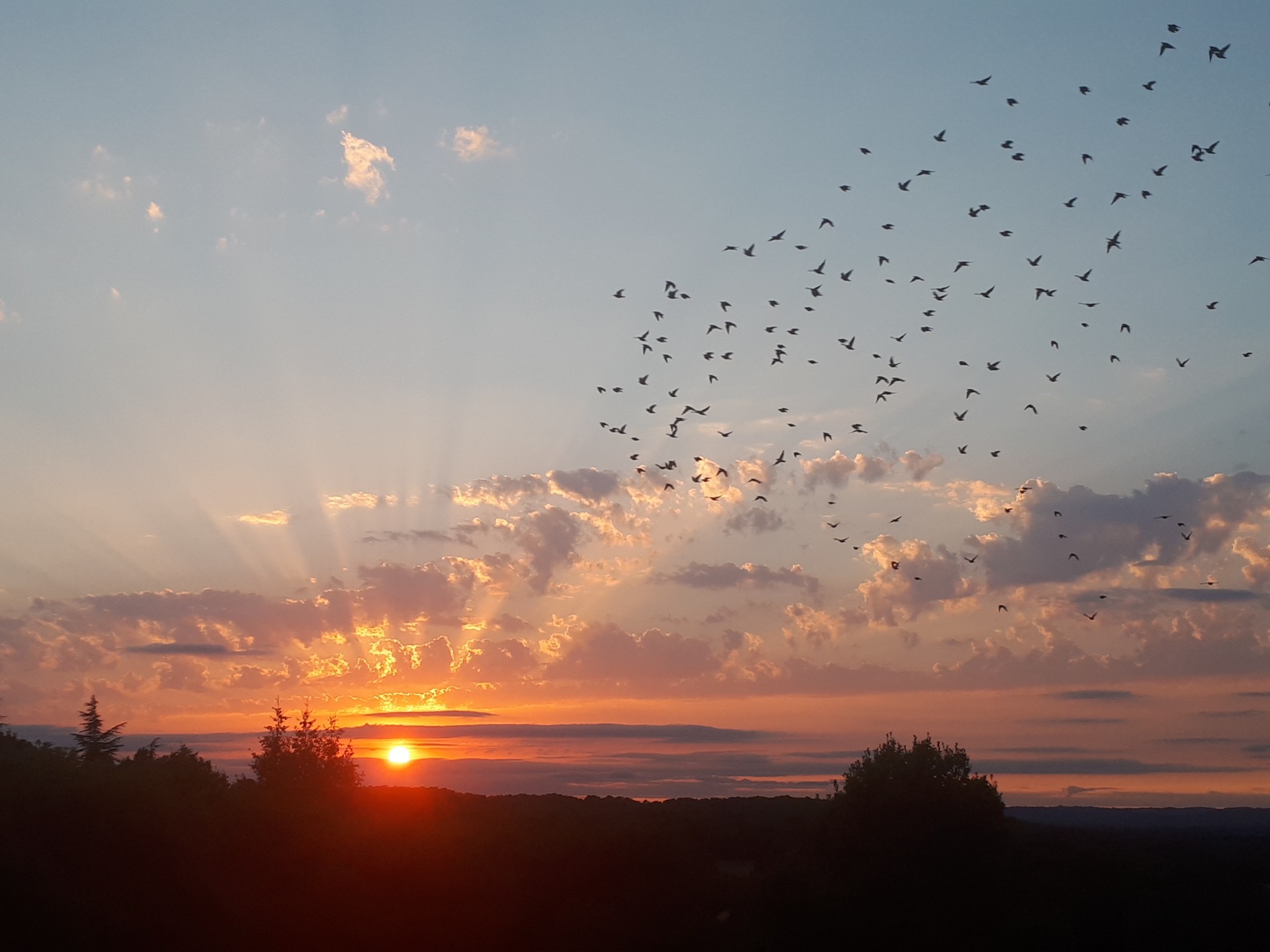 ➢ Coucher de soleil en Aveyron