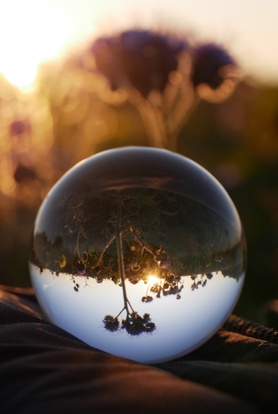 Lensball herbe