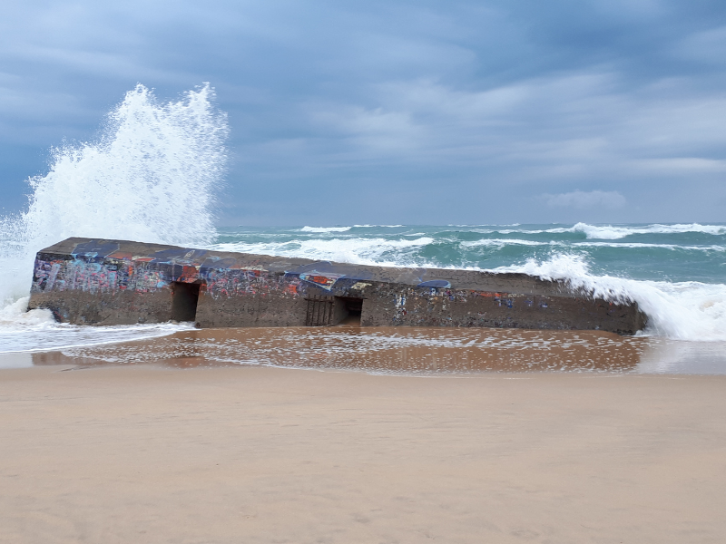 Cap Ferret
