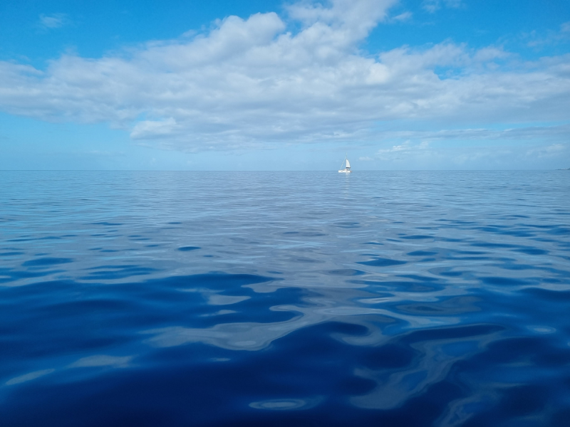 Mer des Antilles