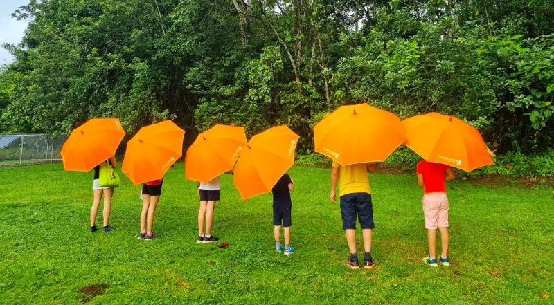Parole de photographe : parapluies colorés