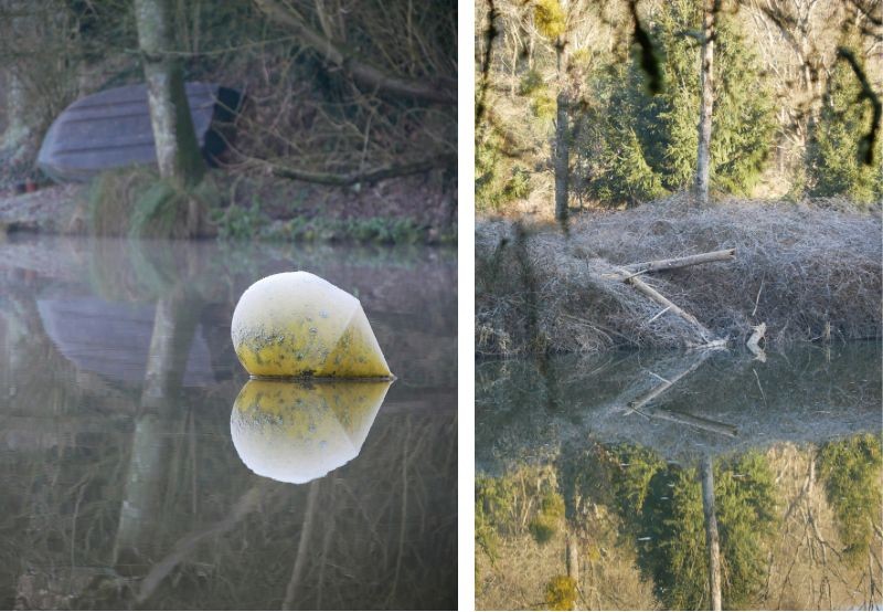 parole de photographe : quand l'eau devient un miroir