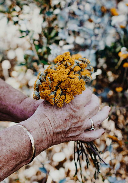 livre rétrospective (4)