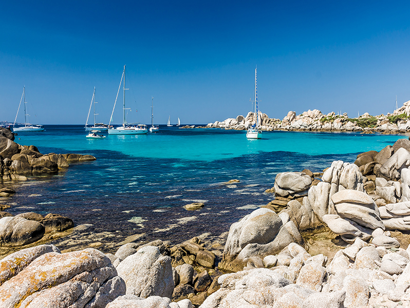 Corse Corse
