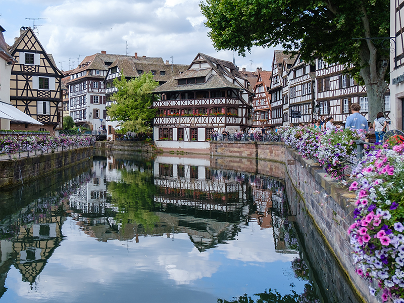 alsace alsace