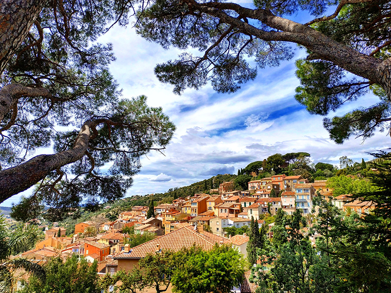 Bormes les Mimosas Bormes les Mimosas