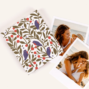 Box photo