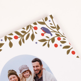 Livre photo paysage - Collection Jardin d'hiver