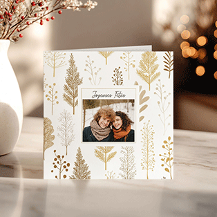 Carte-Voeux-Hiver-Noel-2025-3