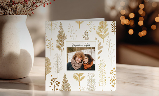 Cartes de voeux personnalisées Photoweb