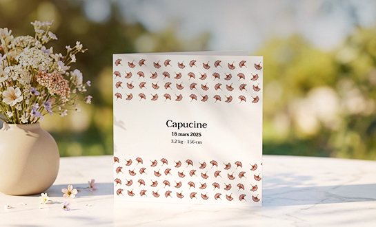 Cartes & Faire-part Cartes de voeux personnalisées Photoweb